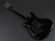 Paul Reed Smith [PRS] SE Custom 24 ~Blue Matteo~_12