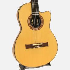 Gibson Chet Atkins CE *2001_4