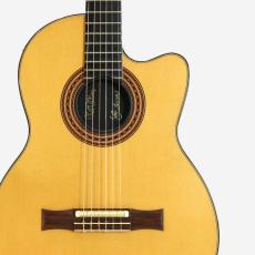 Gibson Chet Atkins CE *2001_5