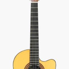Gibson Chet Atkins CE *2001_6