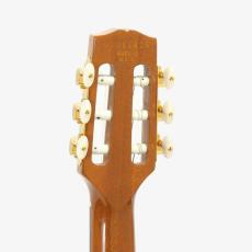 Gibson Chet Atkins CE *2001_8