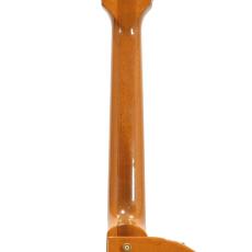 Gibson Chet Atkins CE *2001_9