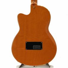 Gibson Chet Atkins CE *2001_10