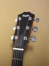 Taylor 212ce Plus_6