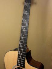 Taylor 212ce Plus_8