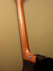 Taylor 212ce Plus_9