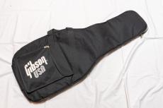 Gibson Les Paul Junior 2009_12
