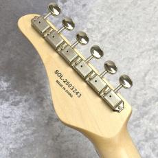 SCHECTER OL-PT-CTM/R【WHT】_10
