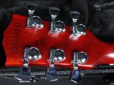 Gibson Exclusive Les paul Traditional Pro V Satin Wine Red_10