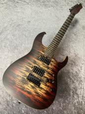 SAITO GUITARS S-624 HH Raijin_2