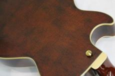 Ibanez AG95MG / Dark Amber【ニューモデル】_3