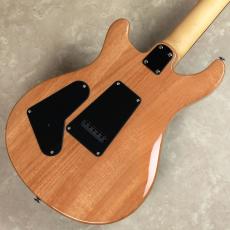 Paul Reed Smith [PRS] SE CE 24 Blue Matteo 【島村楽器限定モデル】_6