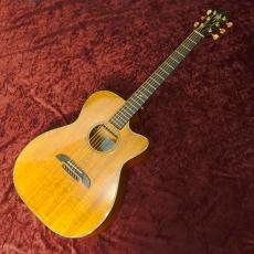 K.Yairi WY-1K 2007_2
