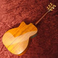 K.Yairi WY-1K 2007_6