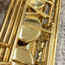 SELMER Jubilee SERIE3 GL w/e_5