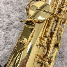 SELMER Jubilee SERIE3 GL w/e_11
