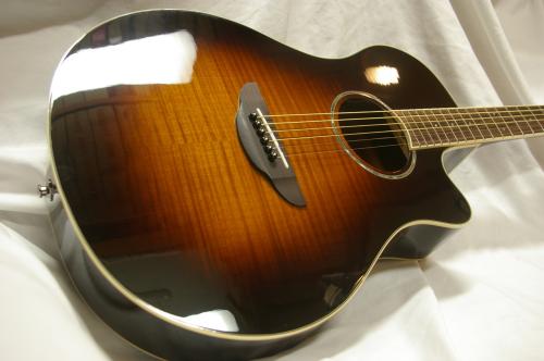 YAMAHA APX600