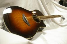 YAMAHA APX600_2