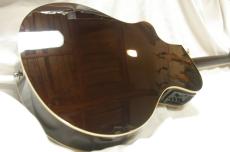 YAMAHA APX600_3
