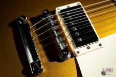 Gibson Original Collection Les Paul Standard '50s w/ Wildwood Spec '59 Tribute Humbucker / 2024_6