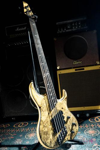 DINGWALL Z3 5st Buckeye Burl top