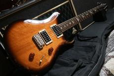 Paul Reed Smith [PRS] SE Standard 24 2015_2