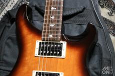 Paul Reed Smith [PRS] SE Standard 24 2015_5