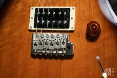 Paul Reed Smith [PRS] SE Standard 24 2015_6