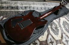 Paul Reed Smith [PRS] SE Standard 24 2015_9