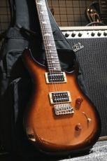Paul Reed Smith [PRS] SE Standard 24 2015_11