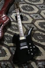 FERNANDES MG-70X_2