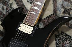 FERNANDES MG-70X_5