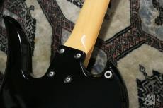 FERNANDES MG-70X_9