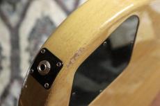 Gibson 1960 Les Paul Special SC TV Yellow 2014_9