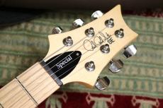 Paul Reed Smith [PRS] SE Swamp Ash Special (Iri Blue) 2023_3