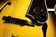 Epiphone Emperor AS 2001_5
