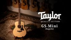 Taylor GS-Mini Sapele 【Taylor公認 リペアマン在籍店】
