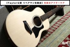 Taylor GS-Mini Sapele 【Taylor公認 リペアマン在籍店】_2