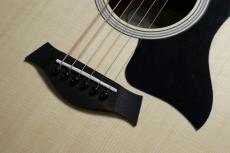 Taylor GS-Mini Sapele 【Taylor公認 リペアマン在籍店】_5
