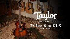 Taylor 【試奏動画有】224ce-Koa DLX ES2 SEB【Taylor公認 リペアマン在籍店】