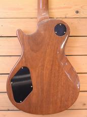 Paul Reed Smith [PRS] Singlecut 20th Anniversary Artist Package/NAT(Brazilian Rosewood)_4