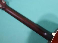 Bourgeois SD CTM NATULAL MAHO TOP_8