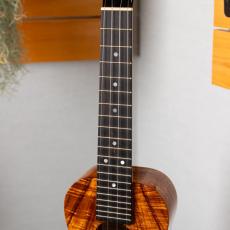 Kanile'a K-1C/CORE_4