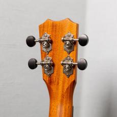 Kanile'a K-1C/CORE_6