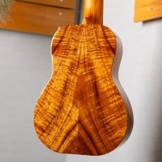 Kanile'a K-1C/CORE_8
