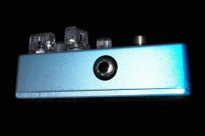 Vivie dolphin Deverb_5
