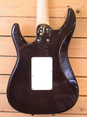 SCHECTER SD-2-24BW/BLU_5