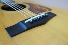 TAMA TG-160 / Flagship Model・T-Inlay Logo・Modified Grover. 102 peg・Solid Select German Spruce Top・Select Solid Jacaranda Side and Back・Ebony Fingerboard and Bridge・Genuine Tortoise Pick-guard【With Hard Cas_15