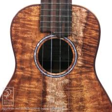 TASHIRO UKULELE (田代輝之) MC-KM【サウンドメッセin大阪 2026出展作品】_9
