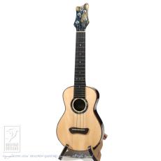 Leaf Instruments Teriha Concer【サウンドメッセin大阪 2026出展作品】_2
